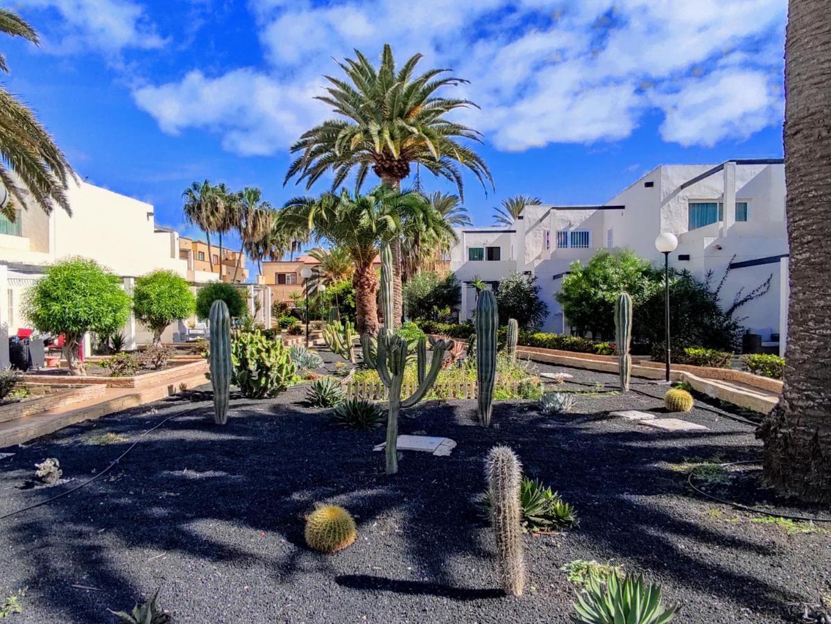 Red Hibiscus Corralejo Irent Fuerteventura Apartment Ngoại thất bức ảnh